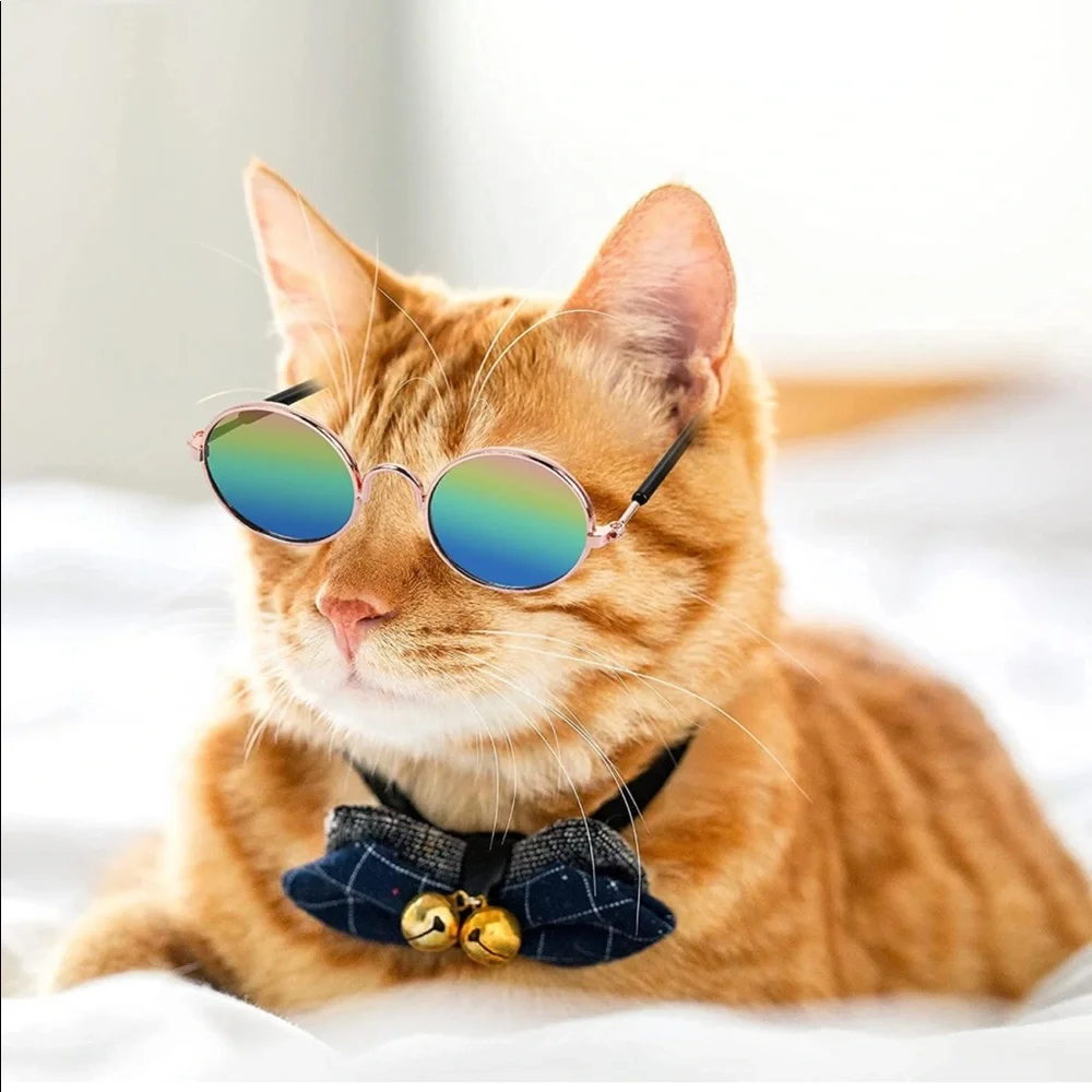 Animal sunglasses